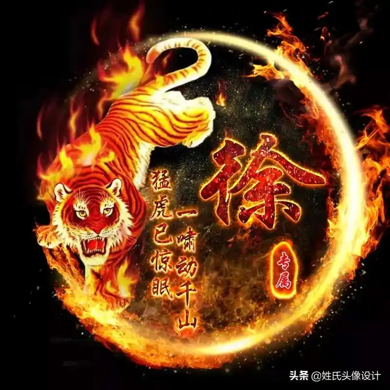 徐猛虎已惊眠一味动千山专属头条@姓氏头像设计自然门武术馆电话 - 抖