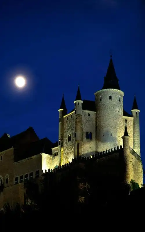 1200x1920 竖屏风景,动物壁纸合集 40p - 图