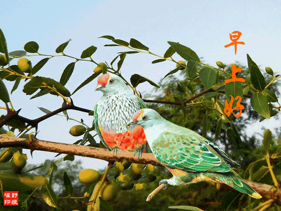 周四早上好睡去昨天的疲惫忘却昨天的烦恼睁开美丽的双眼打开今天的