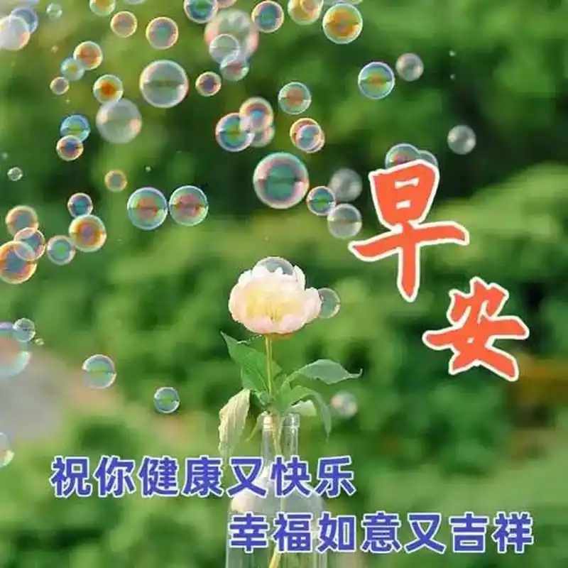 夏天早上好的祝福语 1.