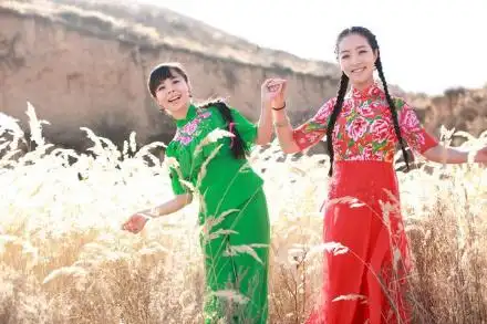 王小妮与姐姐王二妮多次同台 被誉为"姐妹花"