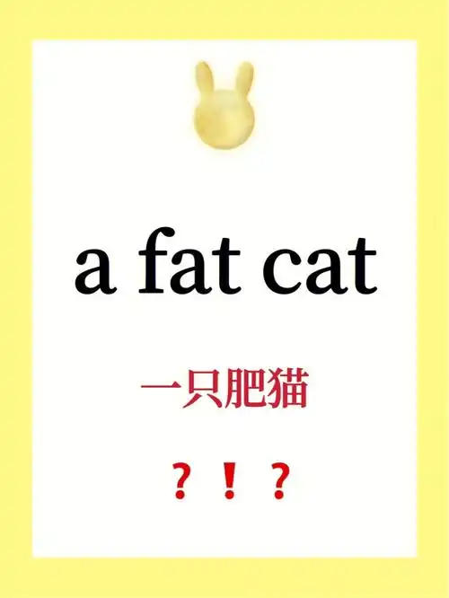 易错易混淆英语afatcat