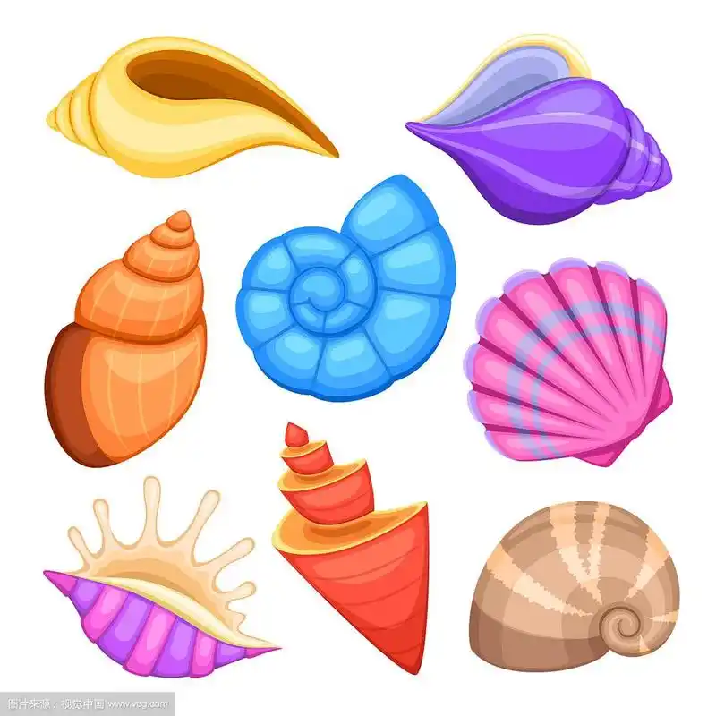 海洋贝壳卡通海贝壳