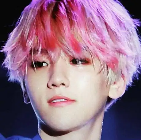 边伯贤:作为exo成员之一的边伯贤,染上一头粉色头发,额前填满的刘海也