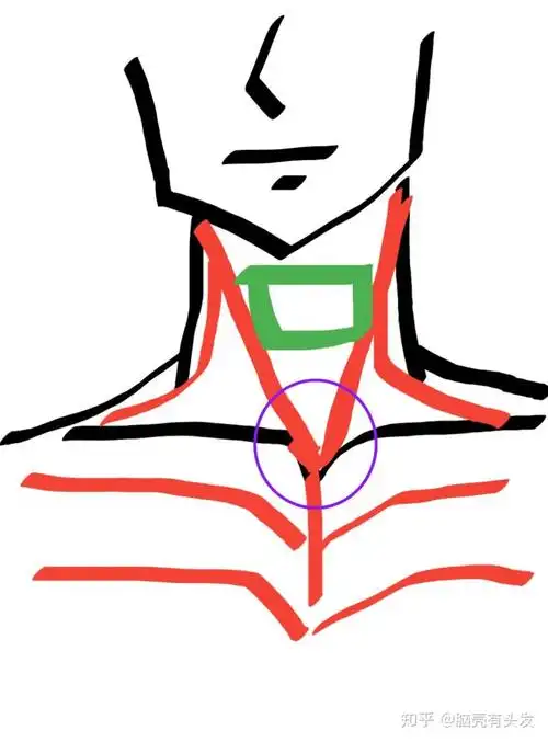 初学唱歌找胸口支点是不是很难?