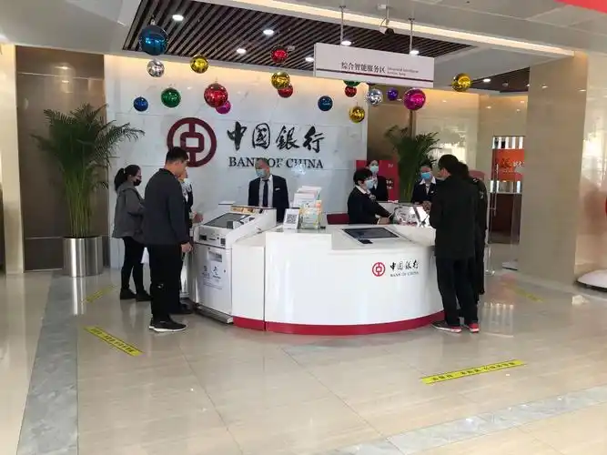 中国银行河北辛集分行营业部劳动组合优化项目总结报告