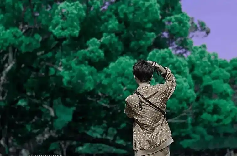 让温暖从背后慢慢包围过来王俊凯的背影可以做到