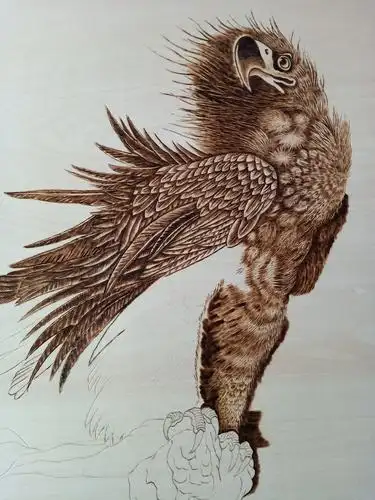 严涵近期木板烙画作品