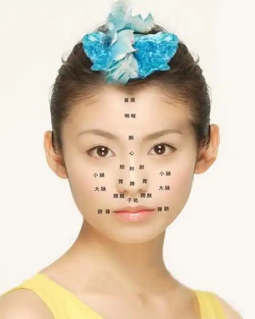 面部全息反射区