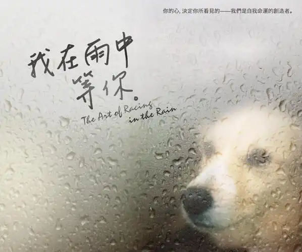 英文名《the art of racing in the rain》中文名《我在雨中等你》