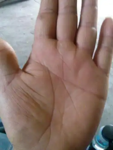 生命线很短且出现断裂有着怎样的含义