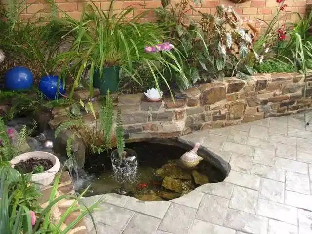 如果你有个院子,一定要有个水池!