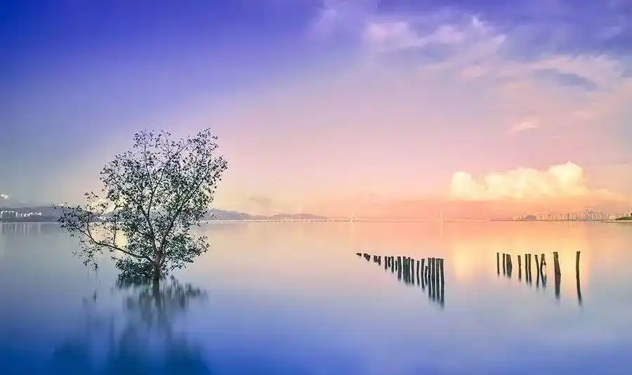 门扉,隔去外面喧嚣的世界,默默独坐灯下,平静地等待身体与心灵的一致