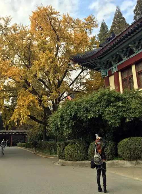 四季随园---美丽南师