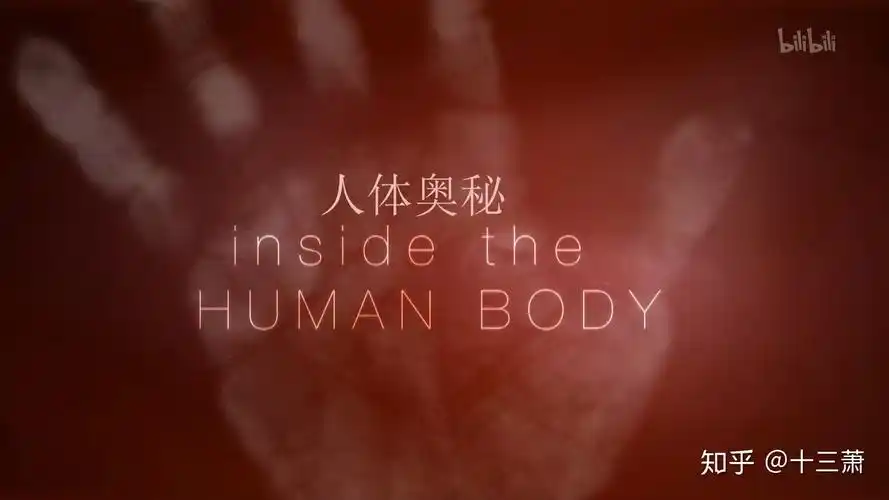 纪录片记录 - 知乎