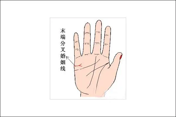 婚姻线图解大全 婚姻线怎么看 婚姻线分叉是什么意思