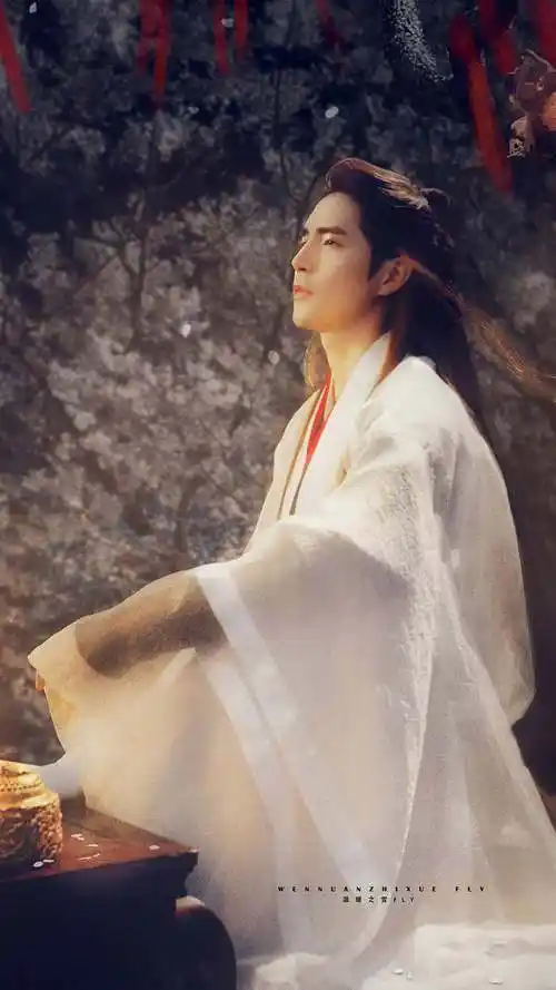 阿云嘎古风美男白衣若仙皇帝