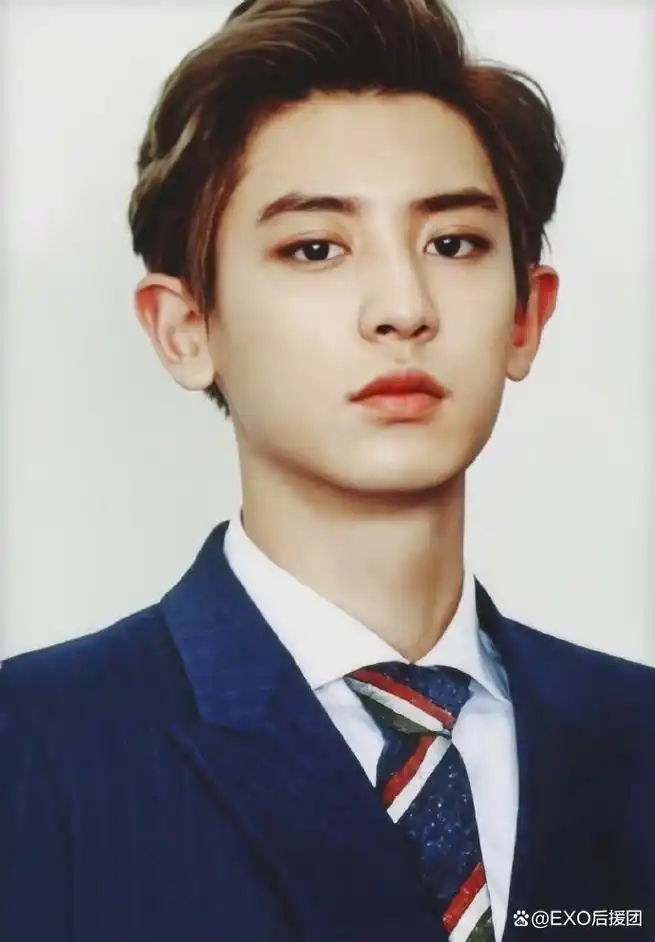 exo朴灿烈证件照,粉丝:每一张都证明了他对我的爱!