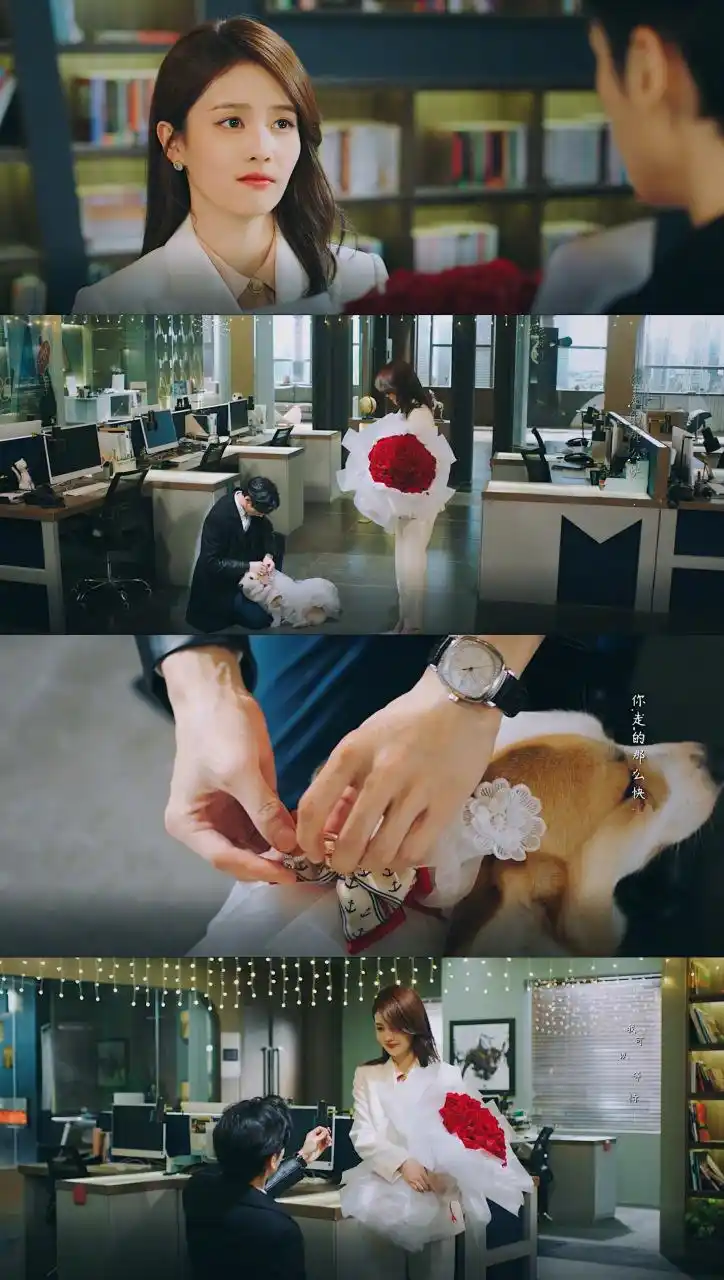 "  画面感太强了. 但不知道为什么,突然酸酸的.