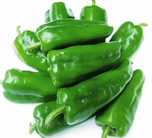 青椒食用禁忌-成都紫燕百味餐饮管理有限公司官网_2019最新紫燕百味