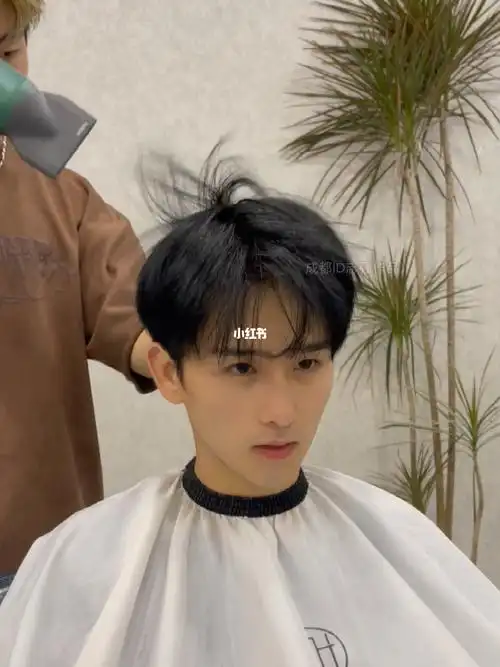 成都男士气垫烫发型自然微分发型