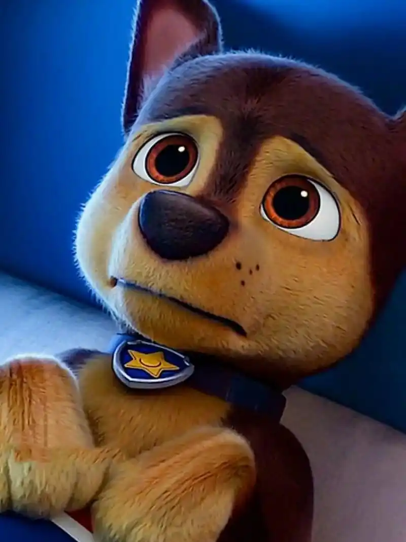 汪汪队电影版阿奇高清图集