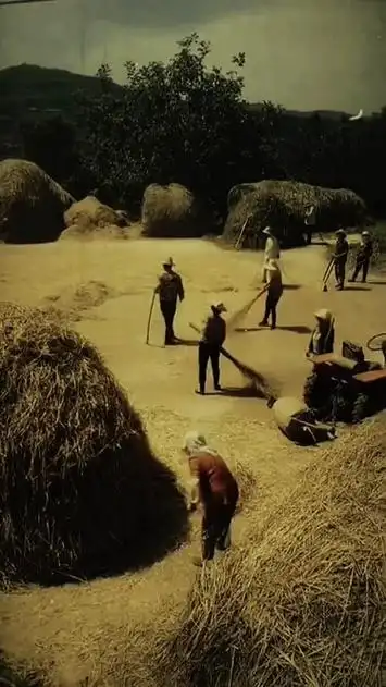 怀旧 #农村生活 #儿时记忆 #7080后的回忆 #80后怀旧 #珍贵影像