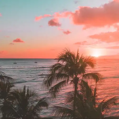 游览属于夏威夷群岛的那份美丽