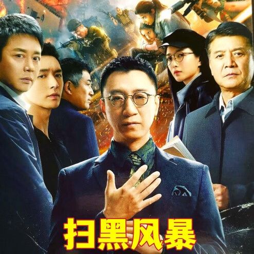 gisaev扫黑风暴 28集警匪刑侦反腐电视剧 孙红雷 刘奕君dvd碟片光盘