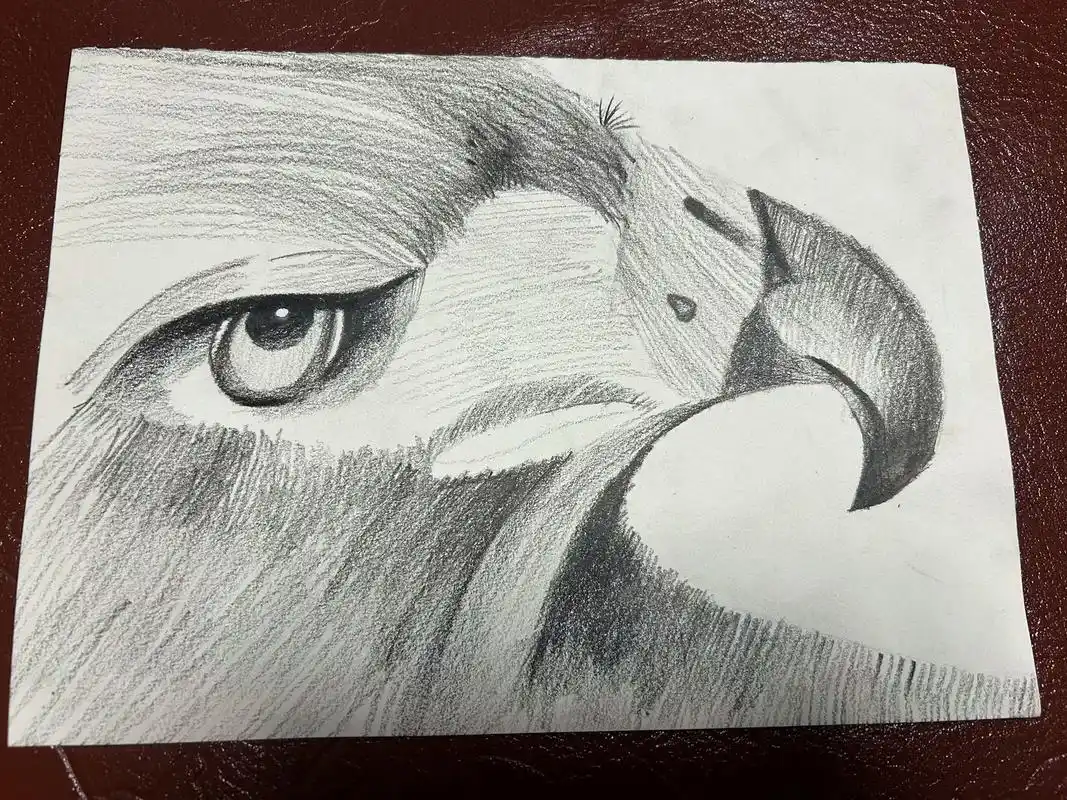 忍不住想晒一下11岁闺女近期的绘画作品,很哇塞哦!07不错不 - 抖音