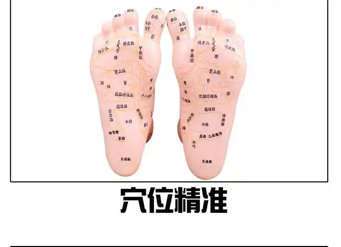 10030004672411商品名称:丰帆经络通清晰足底反射区模型脚底按摩点穴