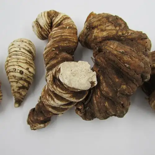 重楼七叶一枝花蚤休草河车粉质滇重中药材100g包邮其他药食同源食品