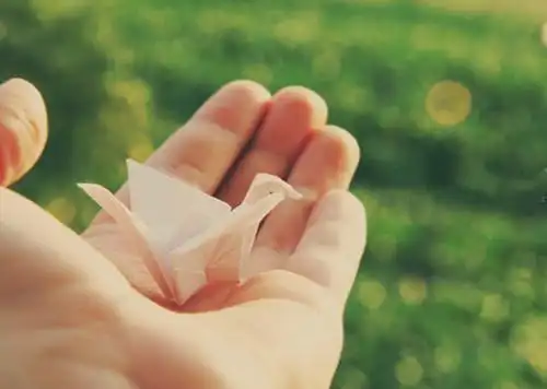 好看千纸鹤精美素材_千纸鹤的寓意