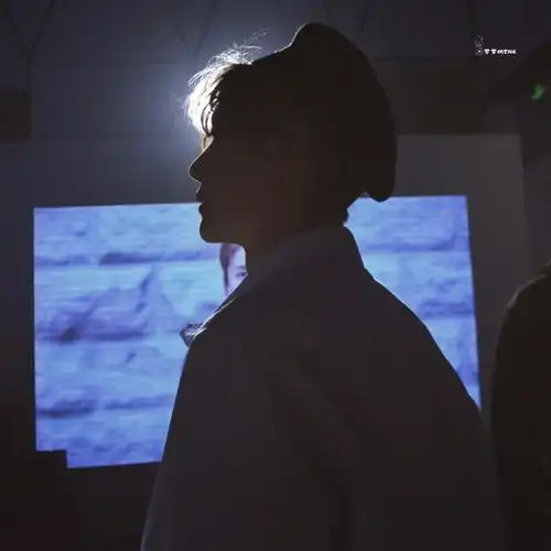 由真维斯剪影图想到"王一博剪影照"合集  p18严格说来不算剪影,但我真