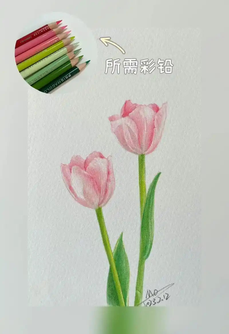 超级简单的彩铅花卉  过程图来啦!#零基础学画画  #郁金香 - 抖音