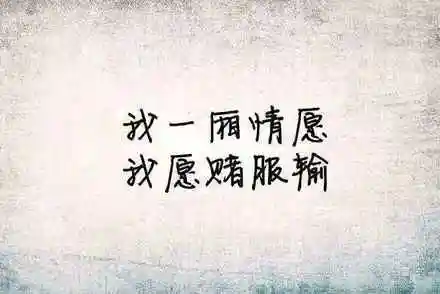 愿赌服输的唯美句子经典句子文字图片