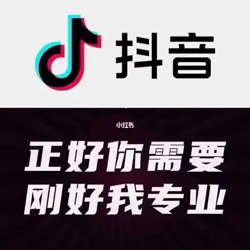 抖音全业务