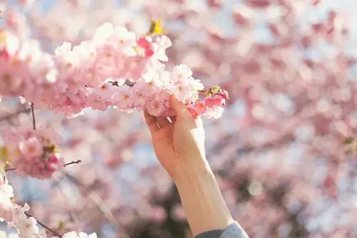 伸出手,触碰到幸福