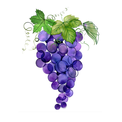 卡通手绘葡萄