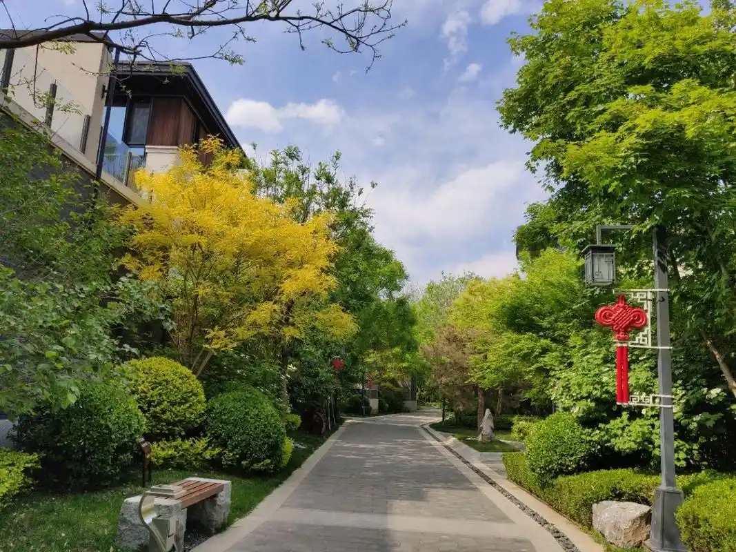 泰禾北京院子 价格超级惊喜 使用700平 泰禾北京院子一期020202