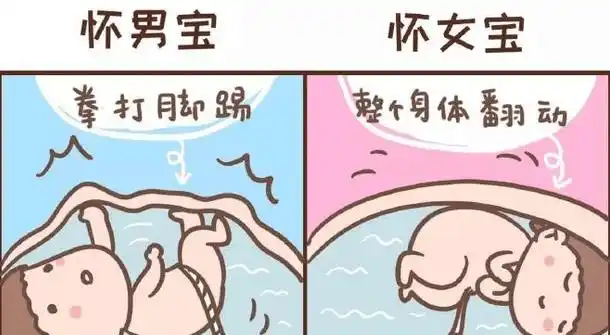 胎儿的位置也有所区别,男孩相对于女孩来说胎位要相对于靠上一些,这些