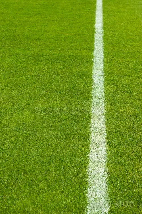 绿草与绿线