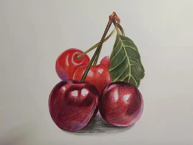 彩铅水果绘樱桃
