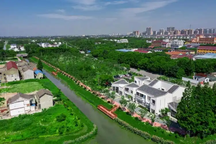 勠力同心迈进新征程奉贤区党员干部群众热议上海市第十二次党代会报告