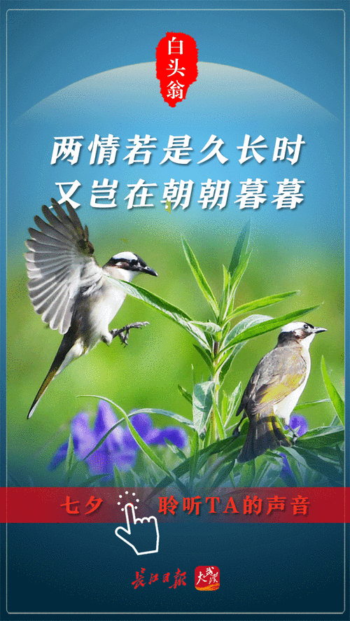 今日七夕早起的鸟儿秀恩爱