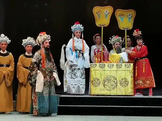 贵阳星光越剧团巜狸猫换太子》剧照