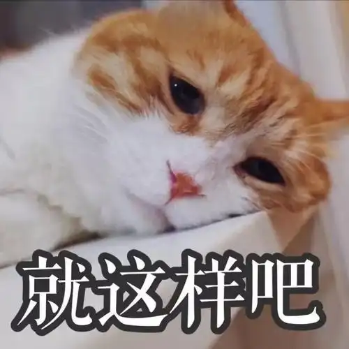 就这样吧猫咪猫咪这样表情