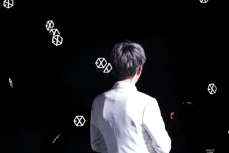 ulyze-13背影边伯贤 baekhyun