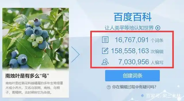 百度百科词条数量