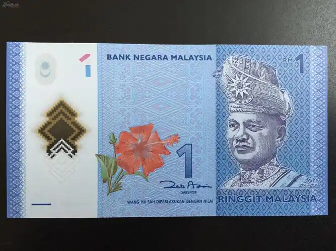 马来西亚币马来西亚币图片马来西亚货币马来西亚令吉马来西亚货币图片